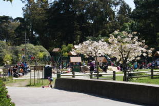 Park Image